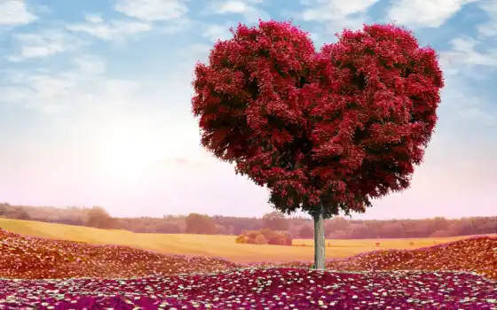 дерево, сердце, поле, photoshop, день, романтика, святого, ipad, cvety, love, 