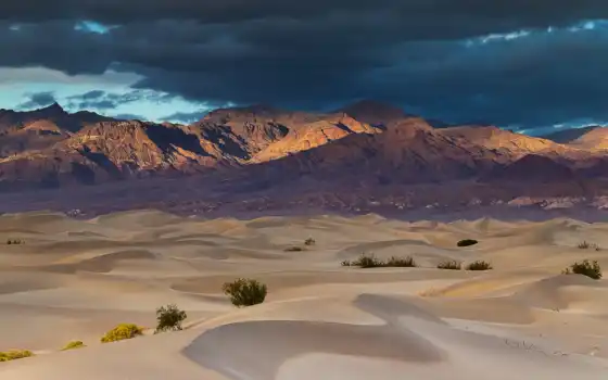 пустыня, песок, мохаве, долина, группа, авико, куолема, ресурс, смерть, дюн
