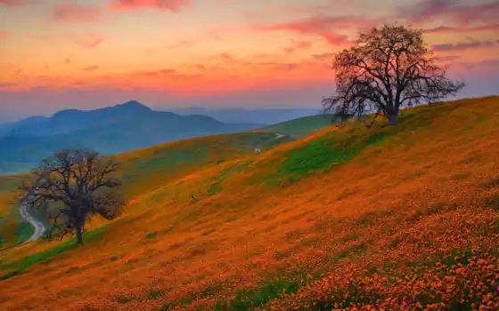 обои на рабочий стол, красивые картинки, картинки для ipad, обои для android