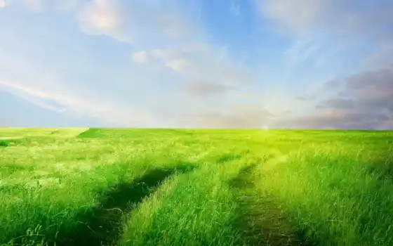 трава, поле, гортант, комбинированный, солярий, солнце, облака,
