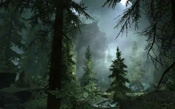 лес, туман, 