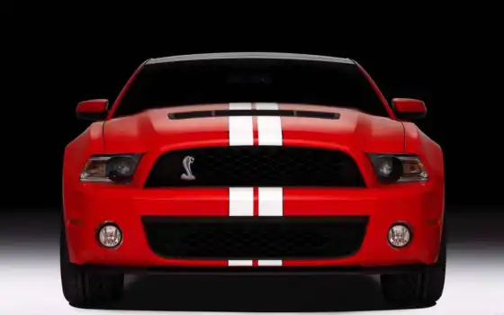 shelby, mustang, ford,