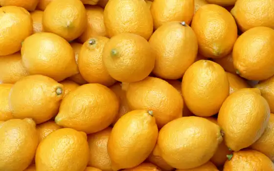 лимон, желтый, плод, лимонов, многие, капуста