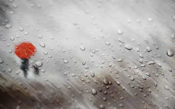 зонтик, дождь, glass, силуэт, капелька, картинка