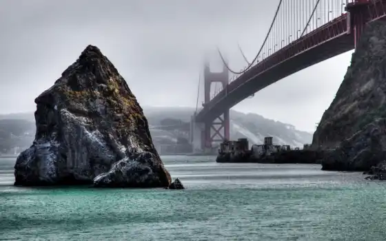 мост, туман, ворота