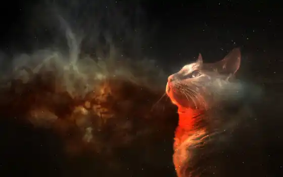 обои на рабочий стол, красивые картинки, картинки для ipad, обои для android