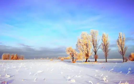 зима, поле, камень, дерево, пейзаж