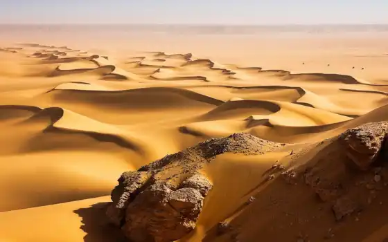 пустыня, компания, туризм, песок, блог, окружающая среда, караван, дюна, чудесный, современный