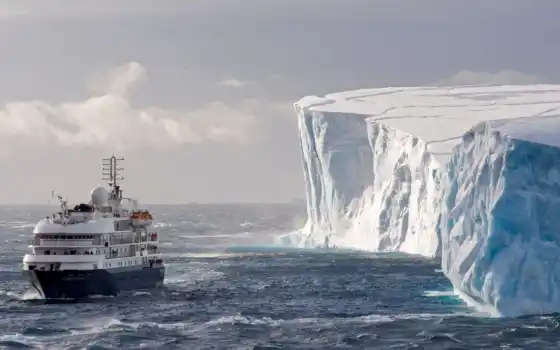 iceberg, антарктида, funart
