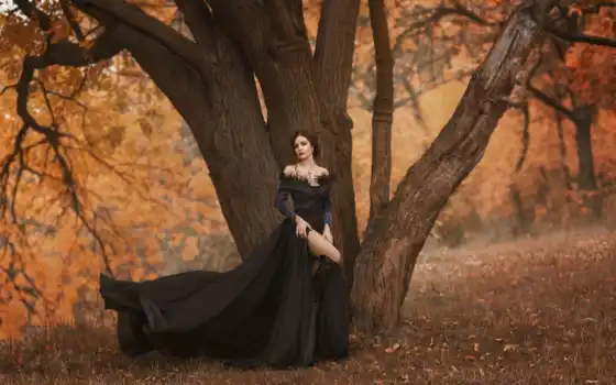 платье, девушка, дерево, чёрн, осень