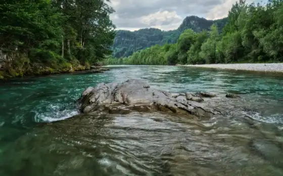 река, fore, контакт, австрия, натурал, дерево