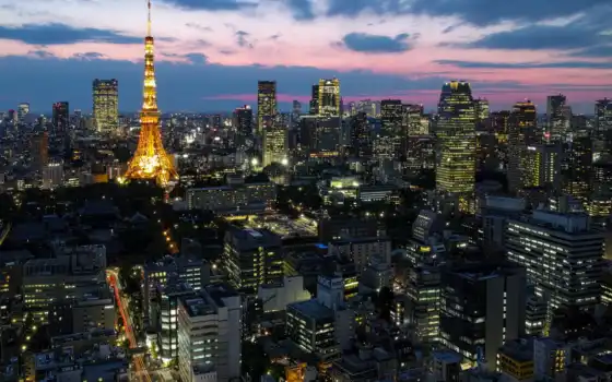 tokyo, tokio, japanese, япония, столица, мегаполис, огни, ночь, синее,здания,