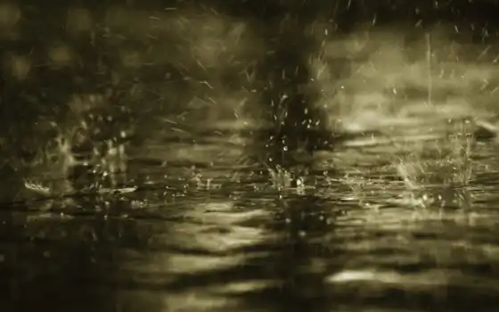 дождь, drop, уж, best, loaded, shirokoformatnyi