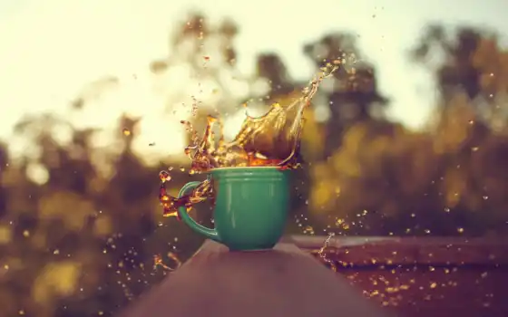 кофе, всплеск, глоток, чашка, кружка, отражение, утро, вода, солнечный свет, свет, цвет