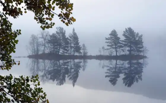 пейзаж, озеро, туман, деревья, картинка, 