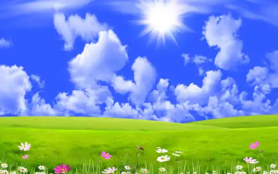 солнце, зелень, трава, перрода, цветок, облако, луг, сельскии, пейзаж, радуга