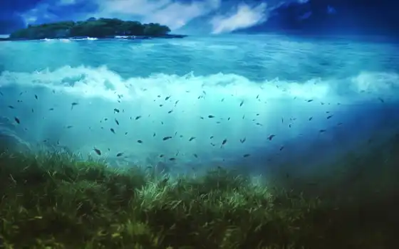 под водой, мир, море, дно, вода, растительность, остров,