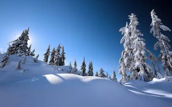 зима, снег, пейзаж, олод, природа, заморозки