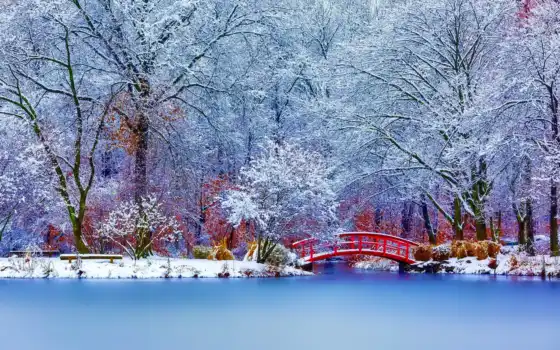 мост, красный, вода, зима, парк, снежный пол, озеро,