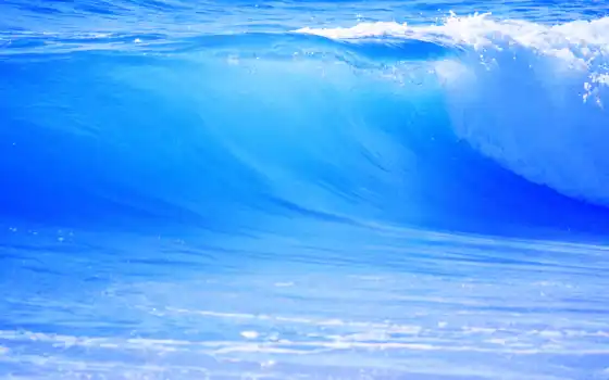 море, волосатые, океан, голубой