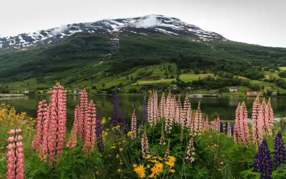 природа, норвегия, озеро