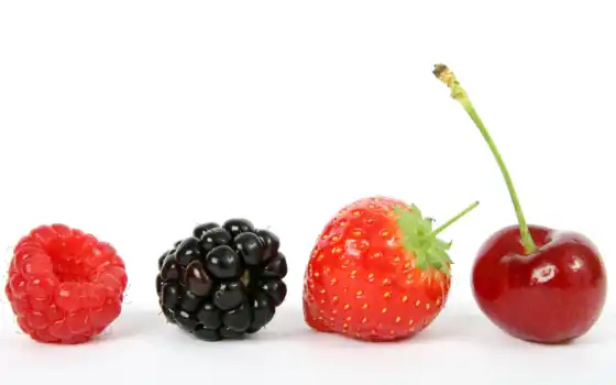 frutos, rojos, los, las, que, del, son, frutas, bosque,