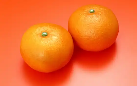 любительское, мандарин, апельсины, плодотворное, мобильник, цельрус, цянка, год