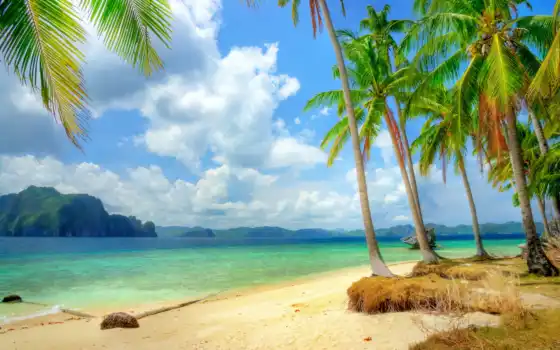 рай, tropical, море, ocean, пляж, побережье, emerald, blue, 