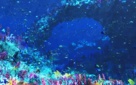 рыбы, кораллы, под водой, мирооо