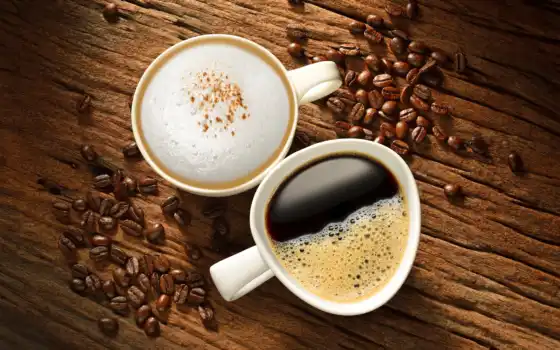coffee, cup, seed