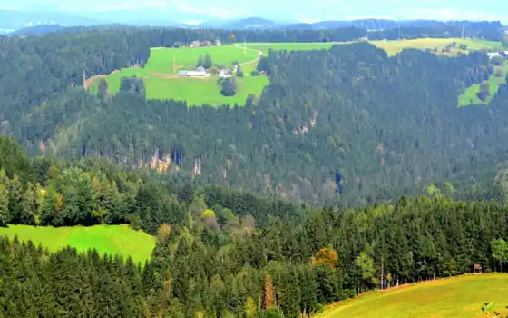 австрия, grassland, лес, гора, scenery