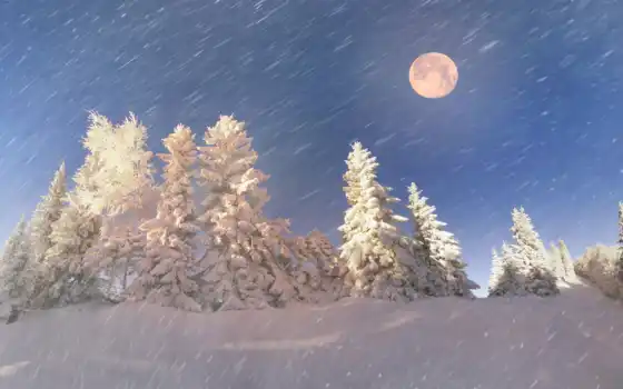 зима, горный, снегопад, дерево, снежный
