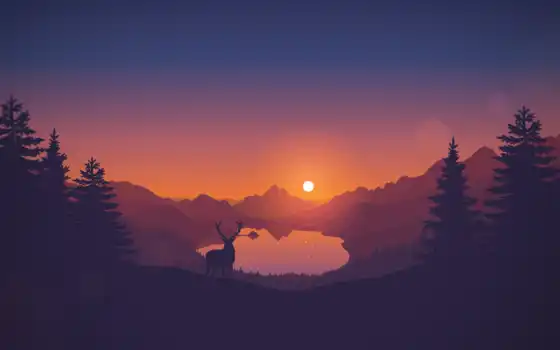 закат, лес