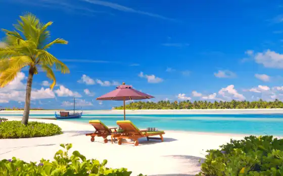 maldive, остров, курорт, медицинский