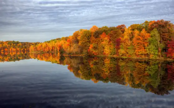 осень, дерев, краски, лес, вода, соленое, соленое,