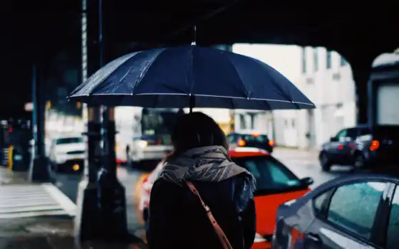 девушка, зонтик, дождь, погода, под, спина, москва, информ, россия, ночь