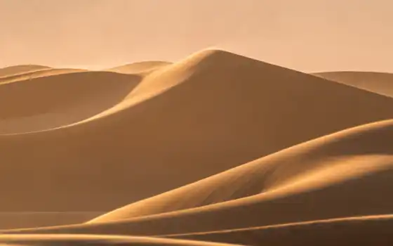 пустыня, дюн, песок, фото, роялти, пейзаж, любовь, фон, имя