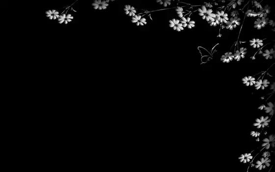 обои, черный, цветы, фон, бабочка, минимализм, фон