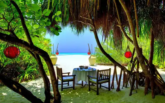 palm, hotel, resort, пляж, coco, остров, отеле, пальмы, maldives, 