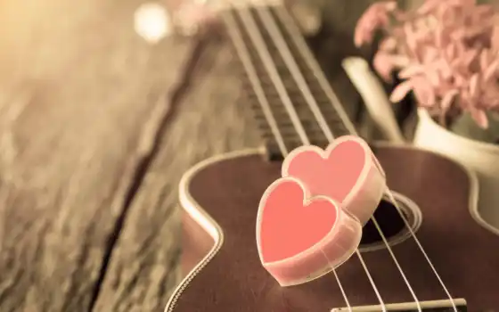 гитара, розовый, сердце, цветы, лавка