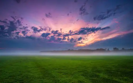 трава, небо, поле, туман, закат, облако, природа, под, во, зелёный