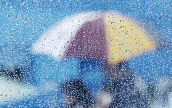 стекло, дождь, зонтик, кубка, разное, зонтики,