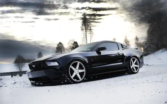mustang, ford, черный, зимний, поддельный, сбоку, колеса, снег,