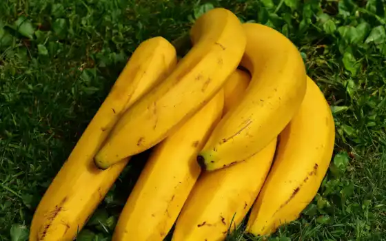 банан, real