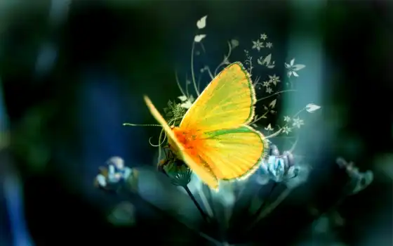 бабочка, makryi, цветы, yellow, добавить, sit, растение, alive, арта, красивый