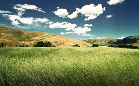долина, зеленый, резолюция, классические, настольные, скачиваемые, широкоэкранные, тонкие, фон, трава,