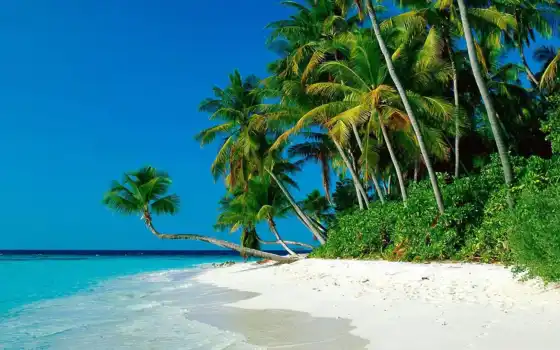 самые, красивые, пляж, фотографий, пляжи, рай, земле, 