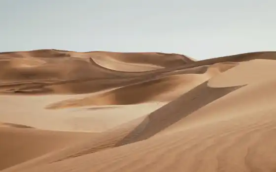 пустыня, песок, дюн, эрг