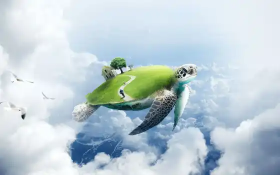 черепаха, скорость, песочница, photoshop