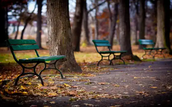 пейзаж, осень, парк, деревья, скамейка,